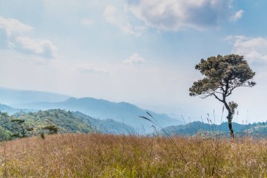 Bulutlu bir dağ manzarası 
