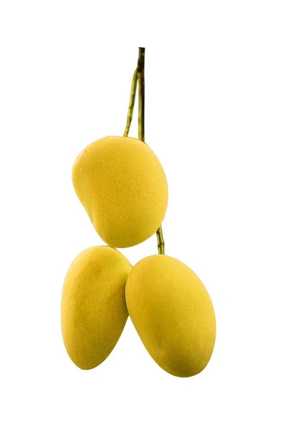 Świeże owoce mango na białym tle — Zdjęcie stockowe
