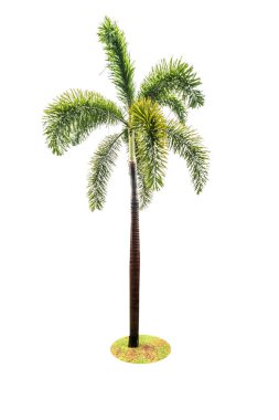 Beyaz arka plan üzerinde izole yeşil güzel hurma ağacı