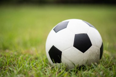 futbol topu yeşil çimlerde