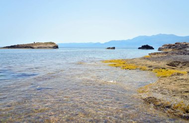 Cretan sahil deniz buzlu.