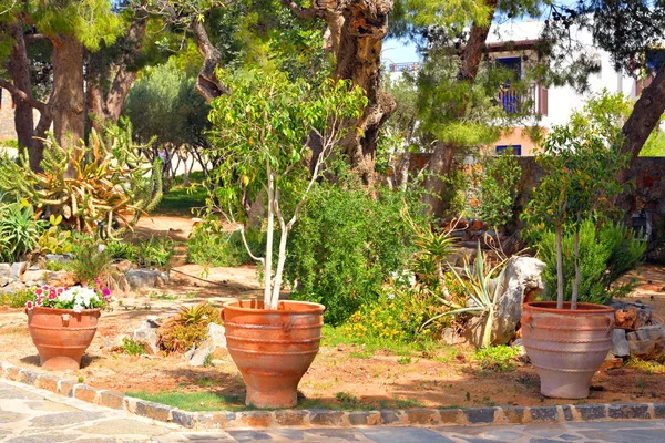 Blomsterrabatt om gatan Hersonissos. — Stockfoto