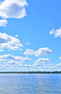 Siverskoe göl güneşli yaz gün.