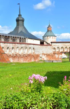 pembe çiçekli flowerbed.