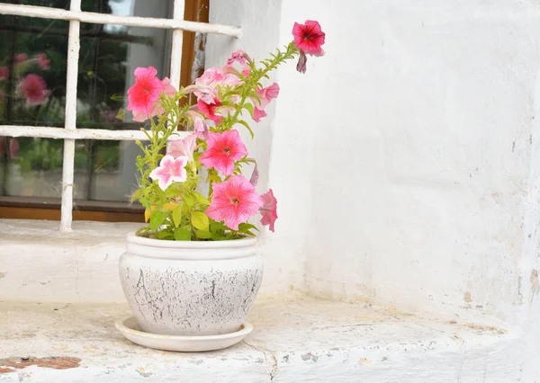 Vase mit Blumen am Fenster. — Stockfoto