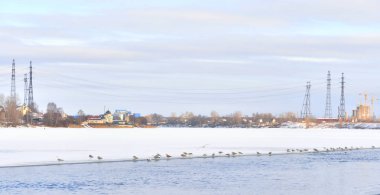 Neva Nehri St. Petersburg eteklerinde.