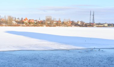 Neva Nehri St. Petersburg eteklerinde.