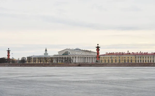 Pohled na zamrzlé řeky Něvy a kose Vasilyevsky Island. — Stock fotografie