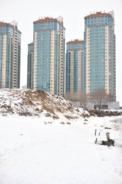 Karmaşık Rechnoy konut gökdelenler.