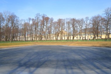 Sazan gölet yaz bahçesinde.