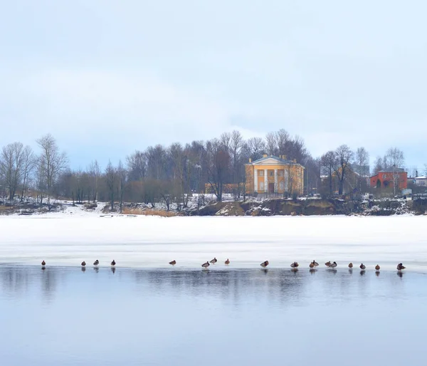 Neva floden i utkanten av St. Petersburg. — Stockfoto