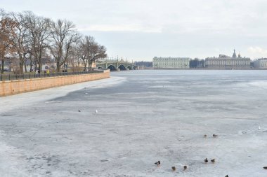 neva Nehri st.petersburg Merkezi Görünümü.