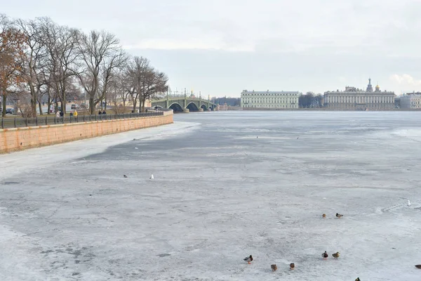 サンクトペテルブルクの中心部にネヴァ川の眺め. — ストック写真