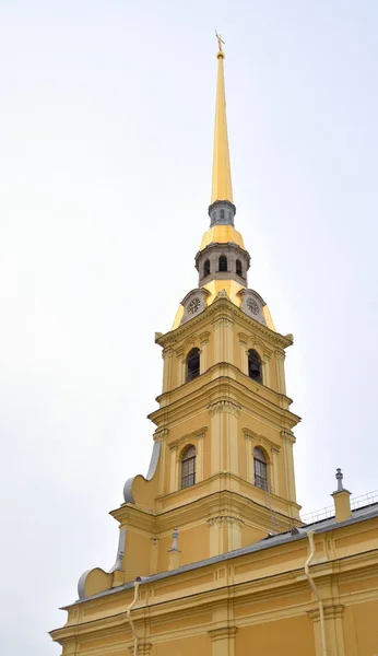 Peter ve paul Katedrali. — Stok fotoğraf