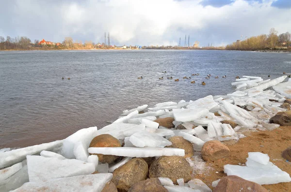 Côte de la rivière Neva à la périphérie de Saint-Pétersbourg . — Photo