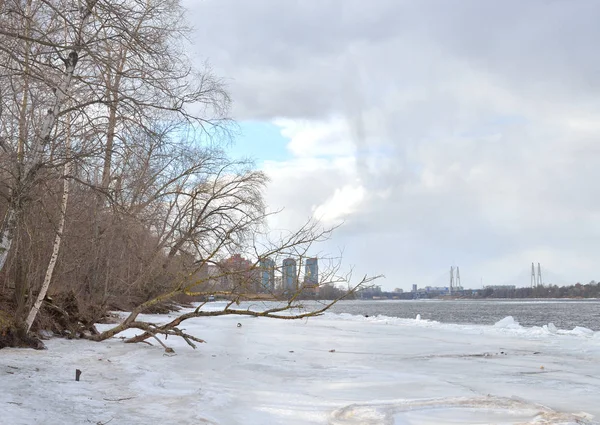 Kust van de rivier de Neva in de winter. — Stockfoto