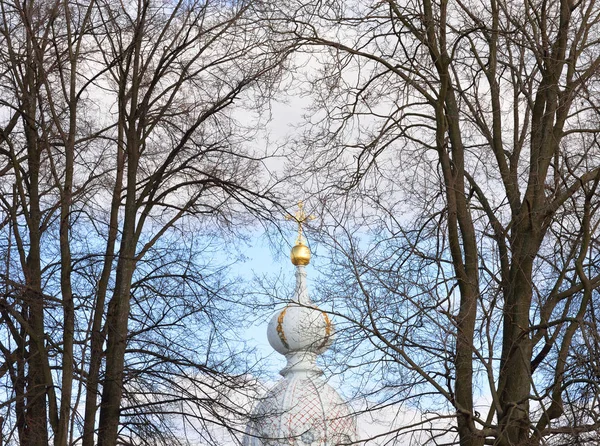 Kupolen i kyrkan Smolny kloster och träd grenar. — Stockfoto