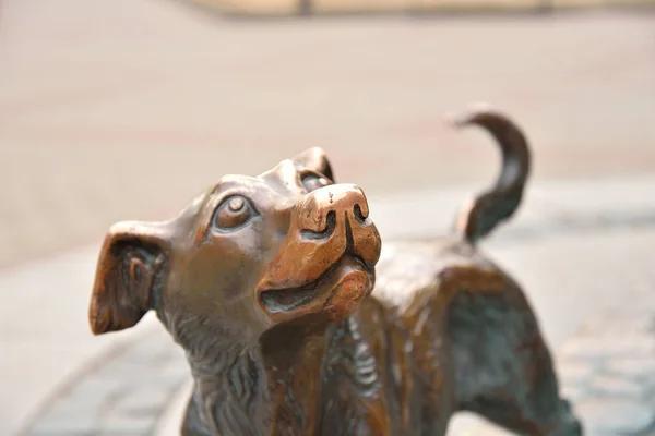 Metal dog monument. — Stock Photo, Image