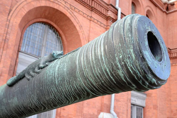 The barrel of the old cannon Skoropeya. — Stock Photo, Image