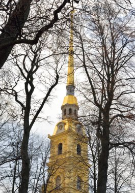 Çan kulesi Peter ve Paul Katedrali.