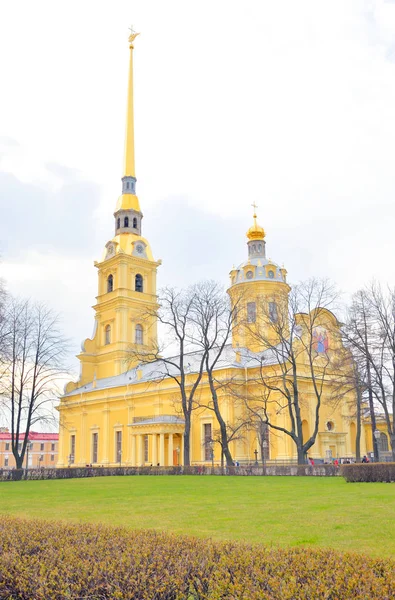 Peter ve paul Katedrali. — Stok fotoğraf