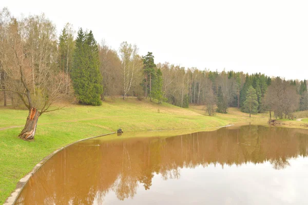 Fluss Slawianka im Frühling. — Stockfoto