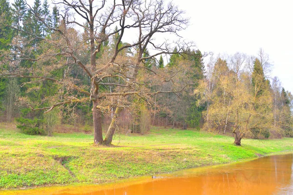 在春天的河 Slavianka. — 图库照片