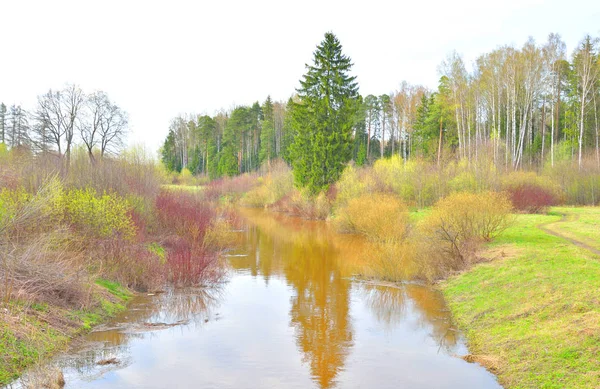 Весной река Славянка . — стоковое фото