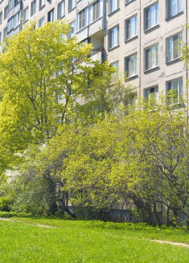 St. Petersburg eteklerinde konut ev.