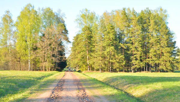 Park bij spring. — Stockfoto