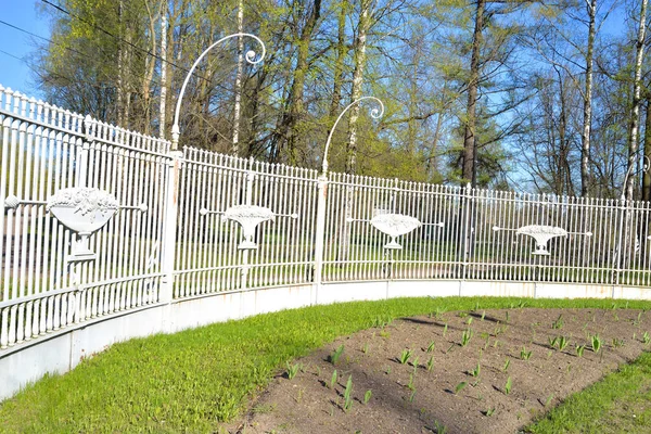 Zaun im Pavlovsk Park. — Stockfoto