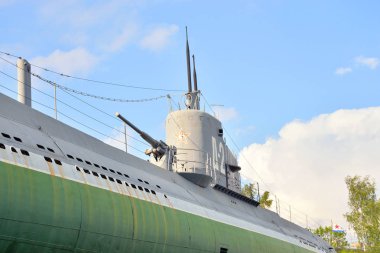 Denizaltı D-2 Narodovolets.
