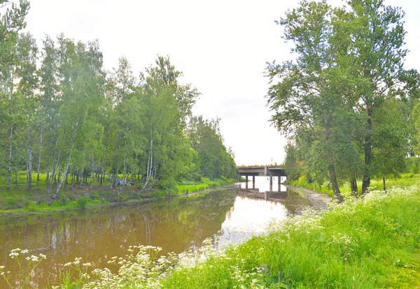 St. Petersburg eteklerinde Slavyanka Nehri. — Stok fotoğraf