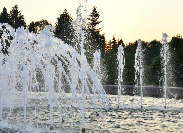 De gush van water van een fontein. — Stockfoto