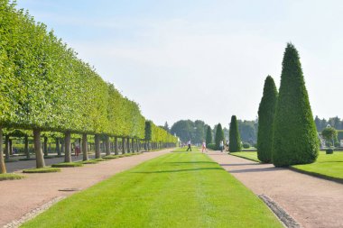 Pertergof Park'ta üst.