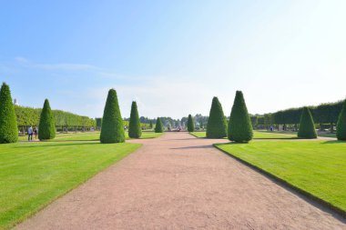 Pertergof Park'ta üst.