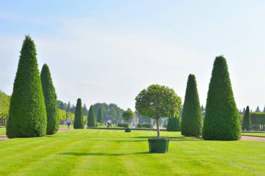 Pertergof Park'ta üst.