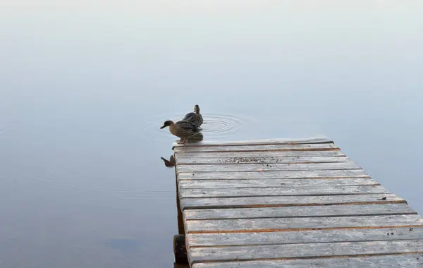 Деревянный пирс у озера рано утром — стоковое фото