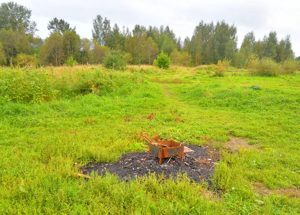 Paisagem de verão com floresta e campo . — Fotografia de Stock