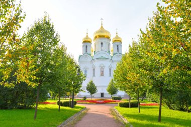 Cathedral St. Catherine.