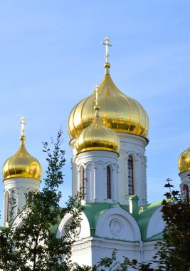 Cathedral St. Catherine.