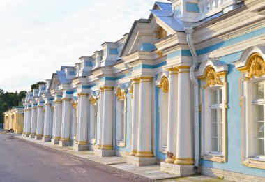 Catherine Sarayı tsarskoe Selo.
