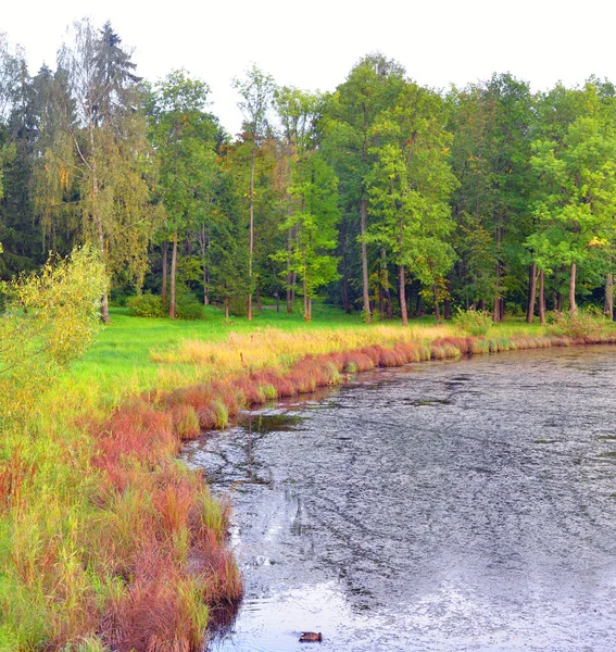 Lake by day. — Stock Photo, Image