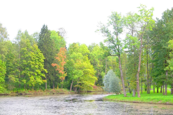 Sjö, dag. — Stockfoto