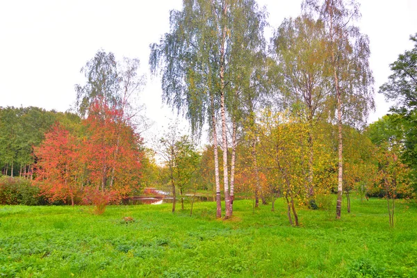 Park at autumn. — Stock Photo, Image
