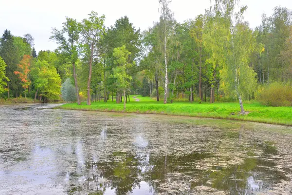 Lago por dia . — Fotografia de Stock