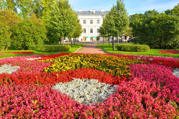 Flowerbed met rode bloemen. — Stockfoto