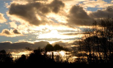 günbatımı üzerinde orman.