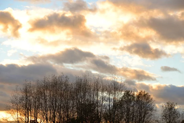 Puesta de sol sobre bosque . —  Fotos de Stock