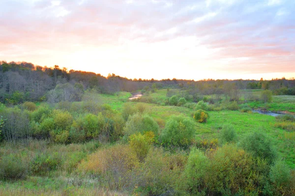 Sunset over the forest. — Stock Photo, Image